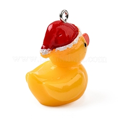 Resin Pendants&nbsp;FIND-U031-13B-P