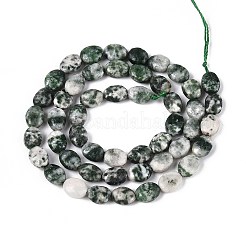 Natural Green Spot Jasper Beads Strands&nbsp;G-T142-26