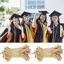 Polyester Twisted Cords&nbsp;OCOR-GF0002-31C