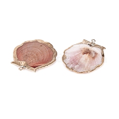 Electroplated Golden Brass Trim Natural Sea Shell Pendants&nbsp;SSHEL-N042-33