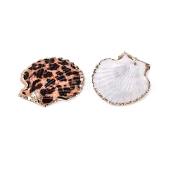 Spray Paint & Electroplated Golden Brass Trim Natural Sea Shell Pendants&nbsp;SSHEL-N042-32