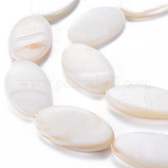 Natural Freshwater Shell Beads Strands&nbsp;SHEL-N026-169