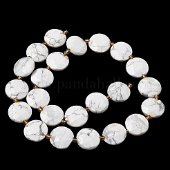 Natural Howlite Beads Strands&nbsp;G-A292-A03-01