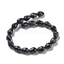 Dyed & Heated Natural Black Agate Beads Strands&nbsp;G-P520-B15-01