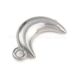 304 Stainless Steel Charms&nbsp;STAS-C140-01F-P