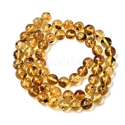 Natural Amber Beads Strands&nbsp;G-K376-H03-01