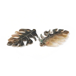 Natural Black Lip Shell Pendants&nbsp;SSHEL-T012-18