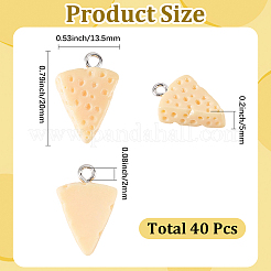 40Pcs Resin Pendants&nbsp;RESI-SC0006-88