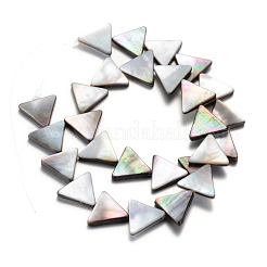 Natural Black Lip Shell Bead Strands&nbsp;SHEL-R018-03