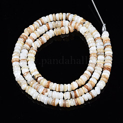 Natural Freshwater Shell Beads Strands&nbsp;X-SHEL-T018-28