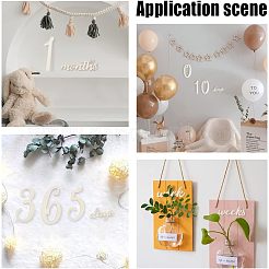 Wood Baby Milestone Numbers Signs Sets&nbsp;AJEW-WH0042-30