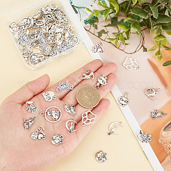 72Pcs 12 Style Tibetan Style Alloy Kitten Pendants&nbsp;TIBE-SC0001-72