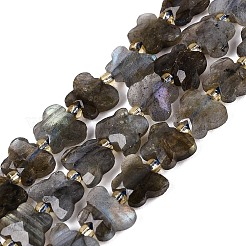 Natural Labradorite Beads Strands&nbsp;G-N371-10A-01