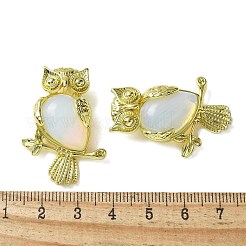 Opalite Pendants&nbsp;KK-F888-02G-18
