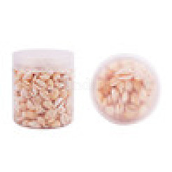 Natural Cowrie Shell Beads&nbsp;BSHE-PH0001-06