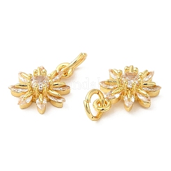 Rack Plating Brass Micro Pave Clear Cubic Zirconia Charms&nbsp;KK-Z026-15G