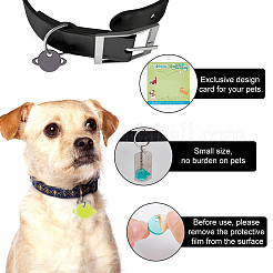 42Pcs 3 Colors Transparent Blank Acrylic Pet Dog ID Tag&nbsp;PALLOY-AB00049