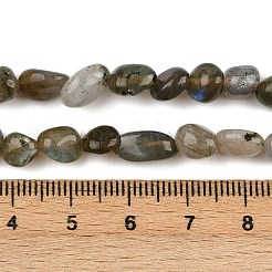 Natural Labradorite Beads Strands&nbsp;LS-G-C250-03