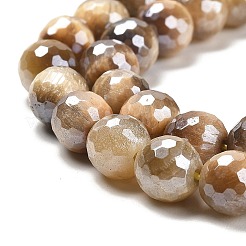 Electroplated Natural Tiger Eye Round Beads Strands&nbsp;G-L598-A04-02