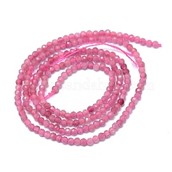 Natural Tourmaline Beads Strands&nbsp;G-G106-C02-01