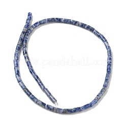 Natural Blue Spot Jasper Beads Strands&nbsp;GG-B091-A25-01