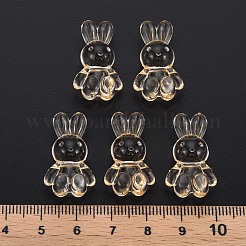 Transparent Acrylic Beads&nbsp;MACR-S373-81-B04