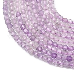 Natural Lavender Amethyst Beads Strands&nbsp;G-Z121-A01-2mm