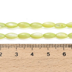 Natural Freshwater Shell Beads Strands&nbsp;X-SHEL-C010-01D