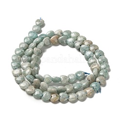 Natural Amazonite Beads Strands&nbsp;G-P575-C12-6mm