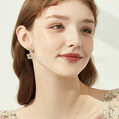 5 Pairs Rack Plating Brass Micro Pave Cubic Zirconia Earring Findings&nbsp;KK-BBC0027-84