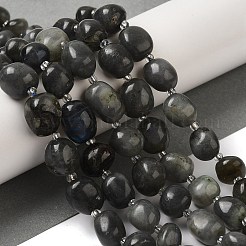 Natural Larvikite Beads Strands&nbsp;G-Q169-E05-01