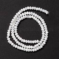 Natural Trochid Shell/Trochus Shell Beads Strands&nbsp;SSHEL-O001-24B-02