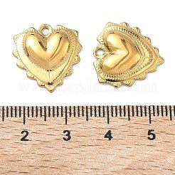 304 Stainless Steel Pendants&nbsp;STAS-C167-09C-G