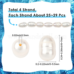 4 Strands Natural Cultured Freshwater Pearl Beads Strands&nbsp;PEAR-SC0001-43