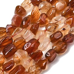 Natural Red Agate Beads Strands&nbsp;G-P601-A17-03