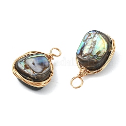 Natural Abalone Shell/Paua Shell Pendants&nbsp;PALLOY-JF05278