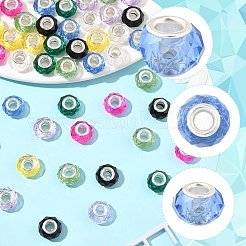 48Pcs 8 Colors Handmade Glass European Beads&nbsp;GLAA-FS0002-14