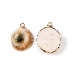 Natural Spiral Shell Pendants&nbsp;SSHEL-N038-41