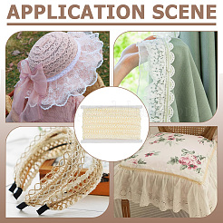 Polyester Lace Trim&nbsp;OCOR-WH0078-421A