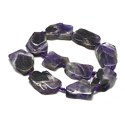 Natural Amethyst Beads Strands&nbsp;G-E401-H07