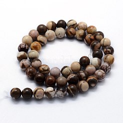 Natural Zebra Jasper Beads Strands&nbsp;X-G-I199-10-8mm