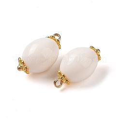 Acrylic Pendants&nbsp;MACR-C033-13F