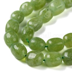 Natural Malaysia Jade Beads Strands&nbsp;G-I283-H14-02