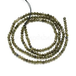 Natural Golden Sheen Obsidian Beads Strands&nbsp;G-S152-04-3mm