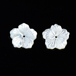 Natural White Shell Mother of Pearl Shell Beads&nbsp;SSHEL-T014-42A