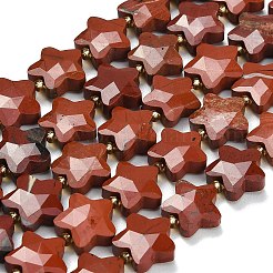 Natural Red Jasper Beads Strands&nbsp;G-L657-A04-01