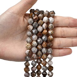 Natural Gobi Agate Beads Strands&nbsp;G-Z119-A36-03