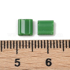 520Pcs 2 Style 2-Hole Glass Seed Beads&nbsp;SEED-NB0001-72B