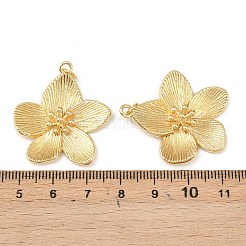 Brass Pendants&nbsp;KK-L255-04G