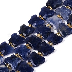Natural Sodalite Beads Strands&nbsp;G-N371-10A-03
